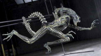 Muzhchina-nashel-u-sebya-na-kuxne-chuzhogo_46175_4