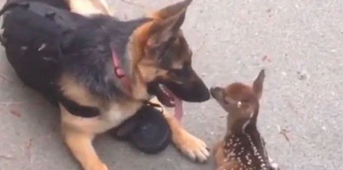 A természetben folyamatosan történnek kis csodák