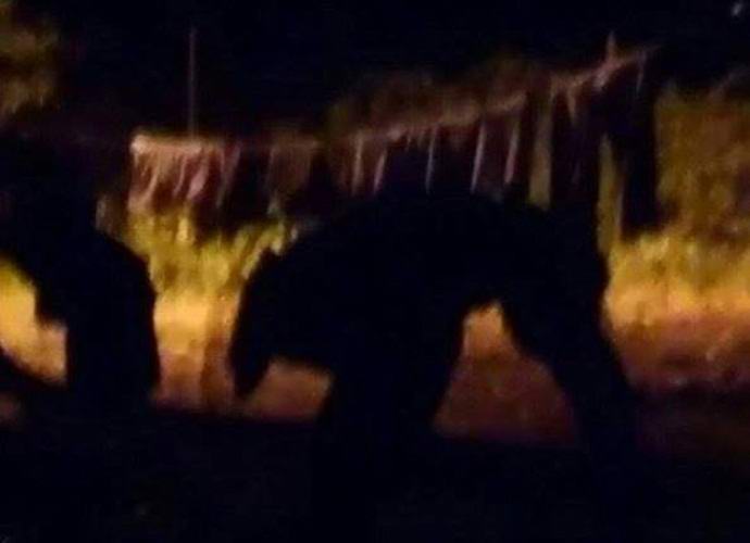 Puerto Ricóban érthetetlen szörny elfogta