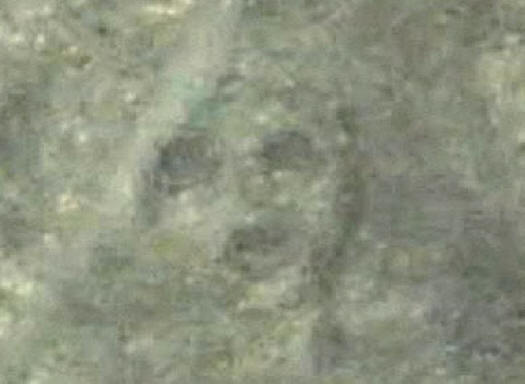 Portré a Nazca-fennsíkon.