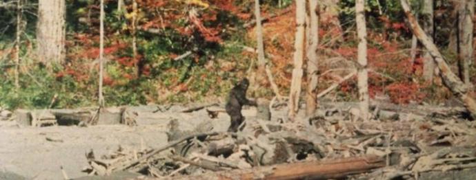 A hóember csontváza a tudósok kezébe került