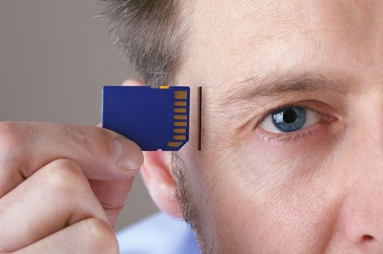 Svédországban kezdődött az emberek tömeges aprítása