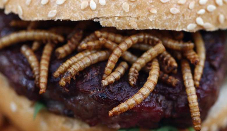 Svájcban kezdődik a féregdaraboltok eladása