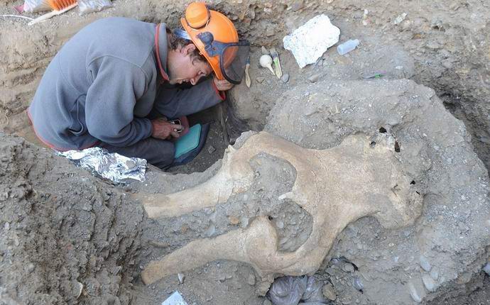 Az Egyesült Államokban rejtett titokzatos koponya