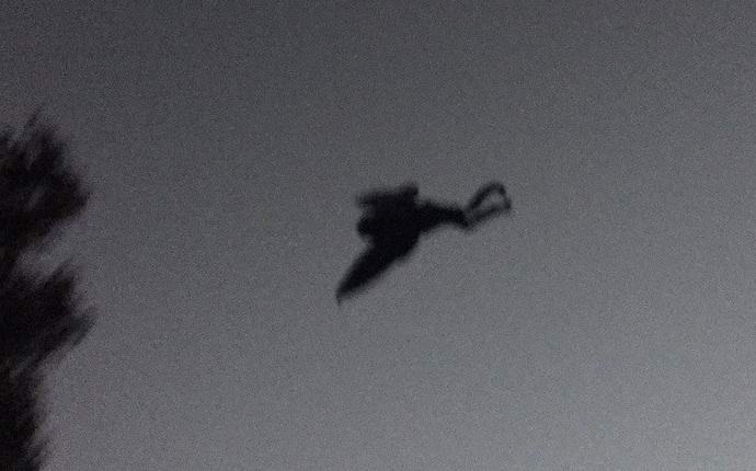 Az Egyesült Államokban ismét fényképezték a legendás Moth Man-t.