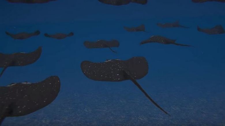 Törökország víz alatti aknákat tervez sztrájk formájában