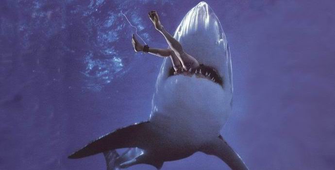 Az embereket hibáztatják a cáparohamok számának növekedése