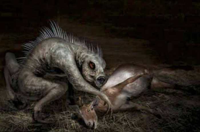 Chupacabra megjelent az Ufában