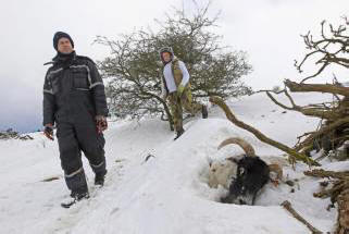 Az Egyesült Királyságban a rossz időjárás állatok ezrei haltak meg. Video