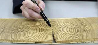 A VIII. Században a Földet titokzatos kozmikus sugár sújtotta