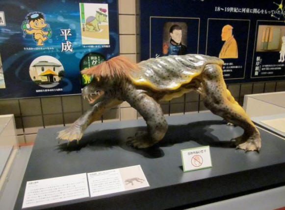 Japánban a japán víziállatok mumifikálódott maradványait mutatják be