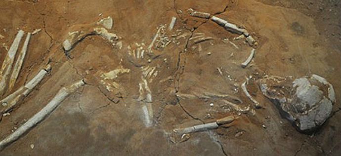 A vámpírok továbbra is köztünk élnek.