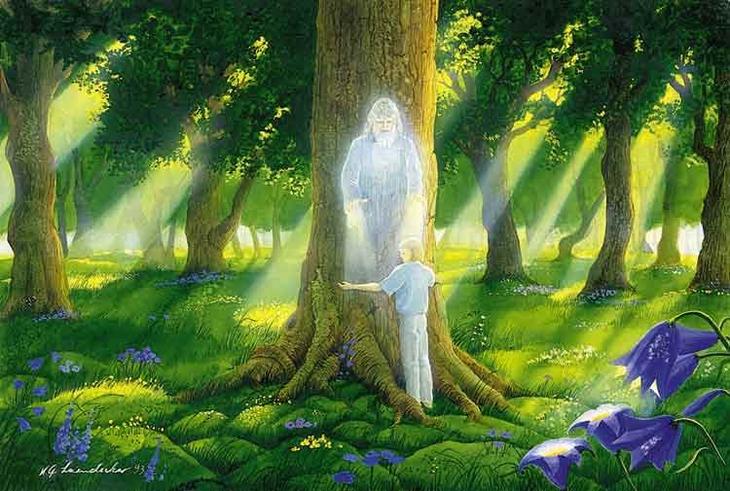 Nagyszerű és szabad gyógyítók - fák