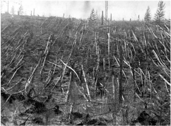 Verziók: A Tunguska robbanás - A globális katasztrófa kiindulópontja