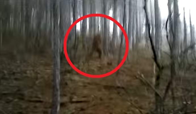 Videó egy hóemberről a Krím-félszigeten, amely érdekli az internetet