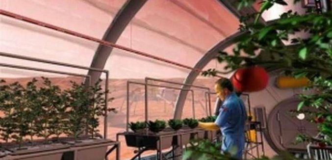 Növeljen gyümölcsöt és zöldséget közvetlenül a Mars roversen