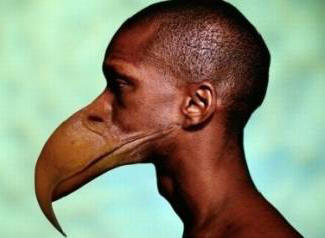 A fogak helyett az embereknek csőr lesz.