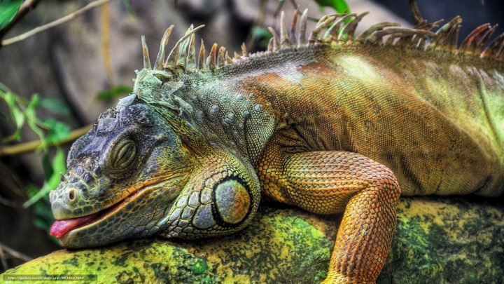 Floridában várható