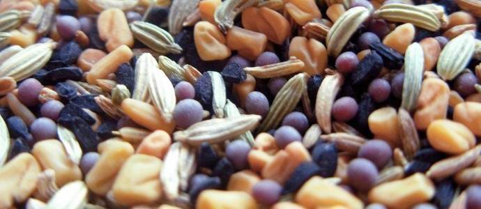 A szíriai háború az emberiségtől megfosztotta magjait az apokalipszis esetén