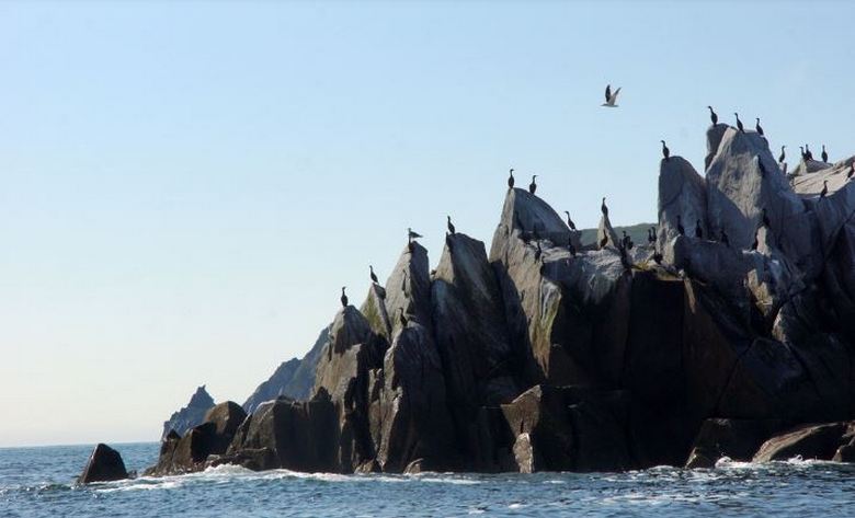 Magadan közelében van egy félreértés szigete