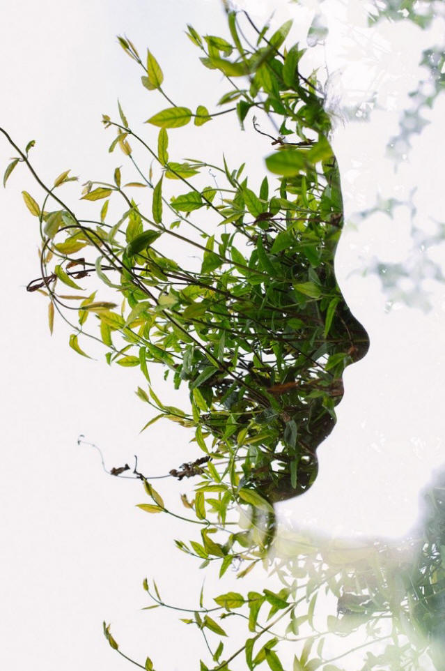 1. fele1310 Lenyűgöző képek a 2013. első félévről