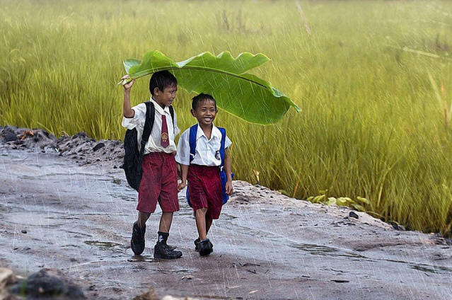 1. fél1306. Lenyűgöző képek a 2013. első félévről