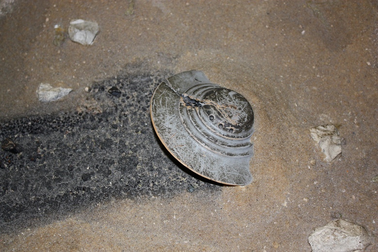 Az első kapszula az UFO-król