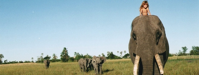 A világ összes nyelve tele van pozitív