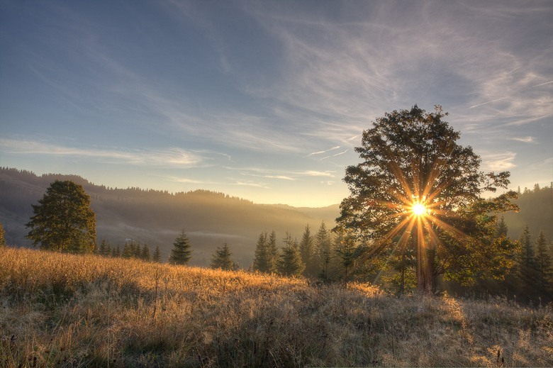 A japán tudósok azt mondják: az információk memorizálásának sebessége és mélysége a napi időtől függ