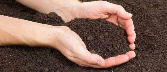 Miért lopják az idegenek a talajt a földművelőkből