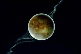 Miért elrabolta a Föld a holdot a Vénuszról?