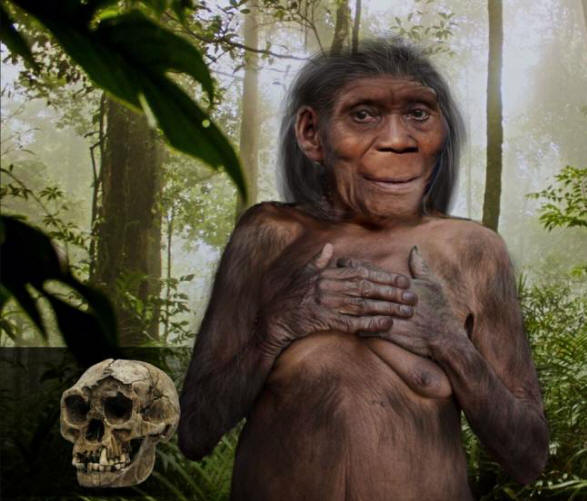 Az őskori florida törpék rejtvénye