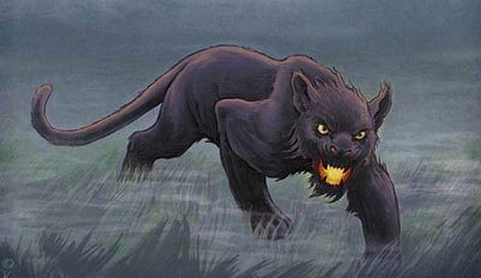 A titokzatos Bodmin fenevad rejtélye megoldódott?