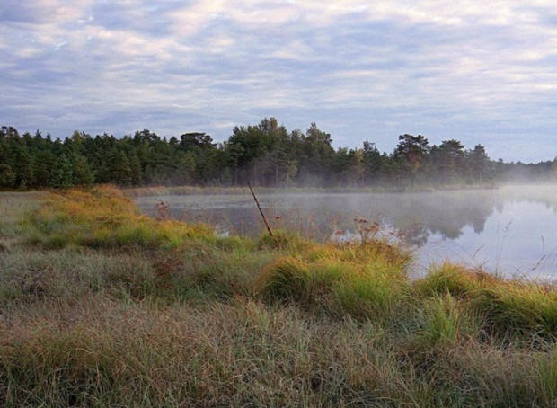 A múlt század rejtélyei, érdekes, történelem