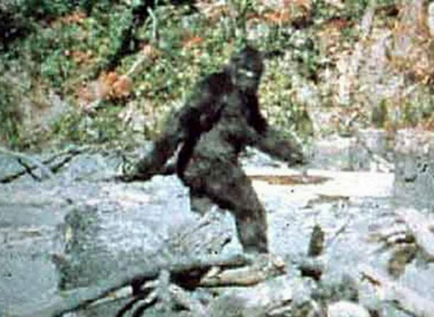 A múlt század rejtélyei, érdekes, történelem