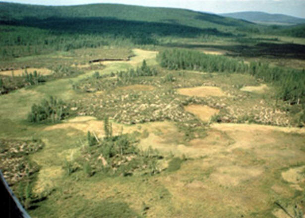 A múlt század rejtélyei, érdekes, történelem