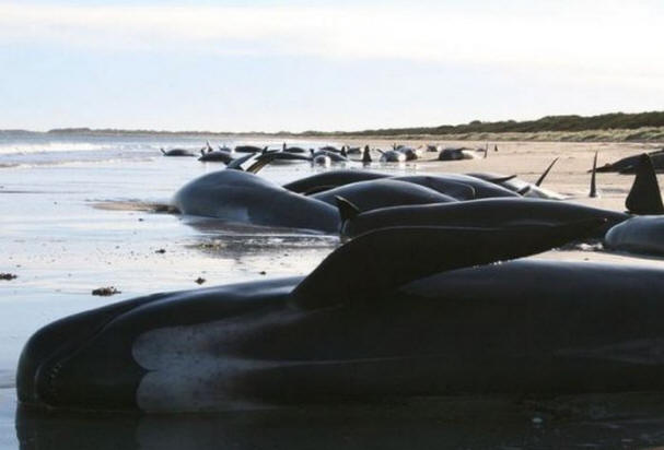 A múlt század rejtélyei, érdekes, történelem