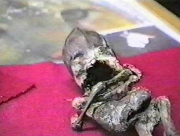 A múlt század rejtélyei, érdekes, történelem