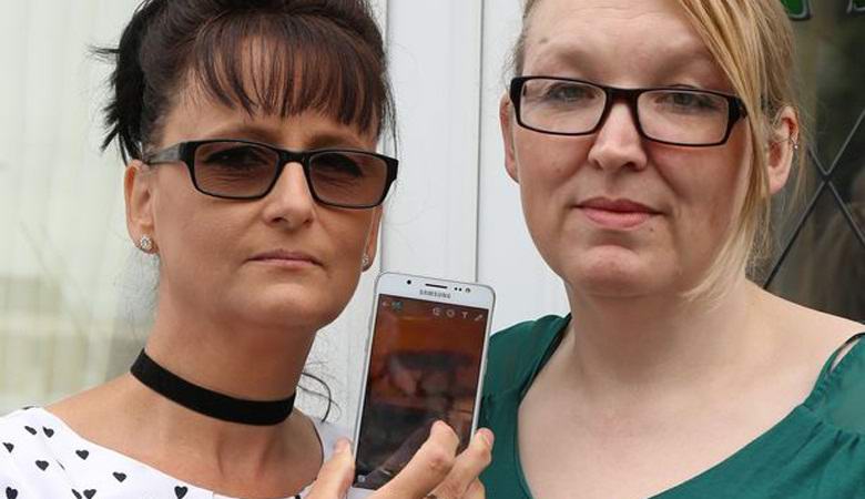 A titokzatos macska bekerült a kamerába