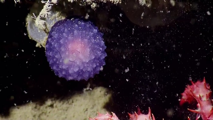 Titokzatos világító gömb