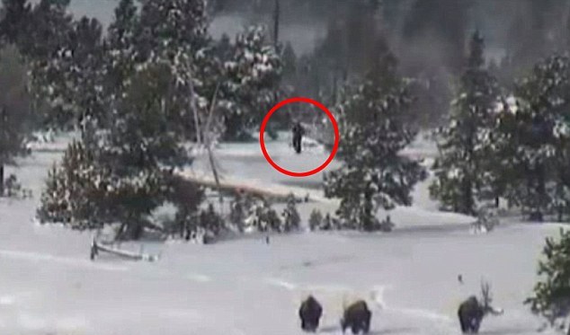 Titokzatos Yeti - Titokzatos mindenben