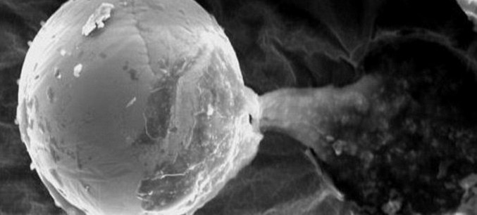 Titokzatos tárgyat fedeztek fel egy kutatószondán