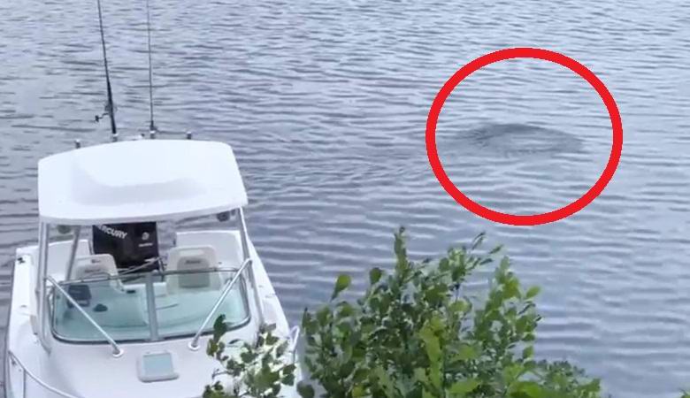 Egy titokzatos tárgy elfoglalták egy amerikai tóban