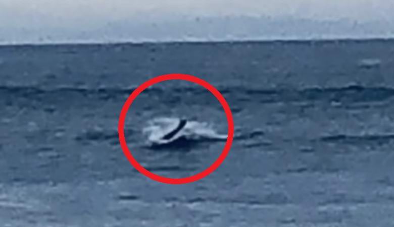 Egy rejtélyes humanoid lény felbukkant a vízből Kaliforniában.