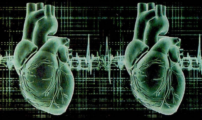Új faj születése - Két szíve van