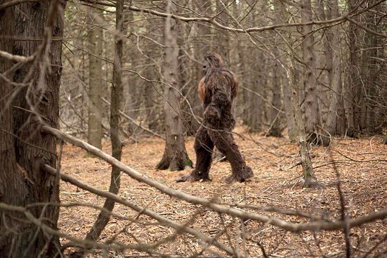 Egy Bristol egyik lakosa észrevett egy hóembert a vonat ablakon.