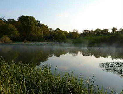 A Southampton-i lakosokat furcsa hangok zavarják