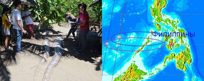 A mélytengeri lakosok