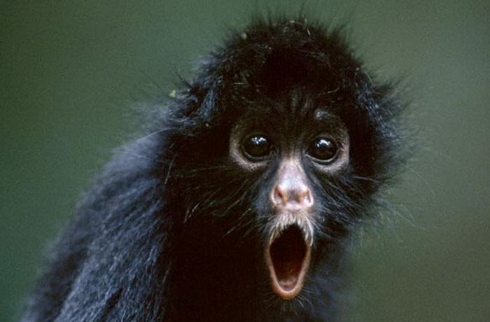 Egy kanadai lakos emlékeztet egy csodálatos eseményre gyermekkorából