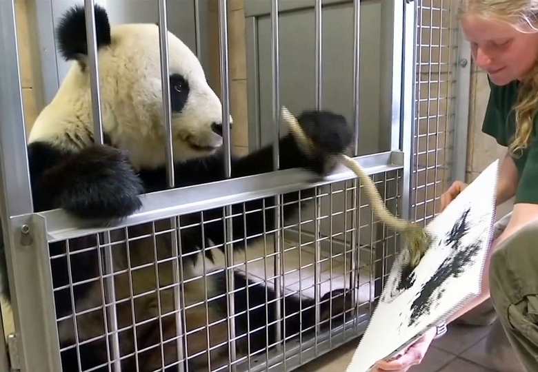 Állatok - expresszionista művészek